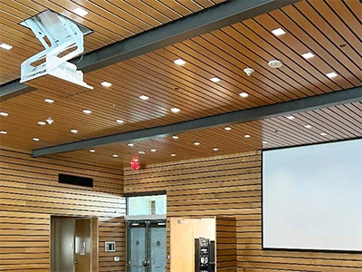 Austin Projectors and Screens